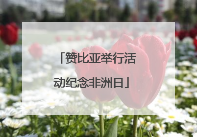 赞比亚举行活动纪念非洲日